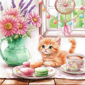 _ChA[g Lbg lpr[Y qLƃ}J ӂ̃eB[^C ABr[Y XNGA _CAhA[g _ChyCeBO r[Y hJLbg Zbg I[r[Y 
