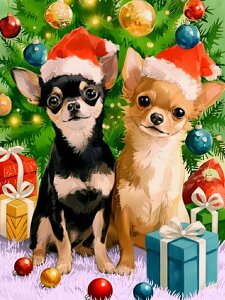 _ChA[g Lbg lpr[Y `̃NX}X _CAhA[g ABr[Y XNGA _ChyCeBO r[Y hJLbg Zbg I[r[Y  