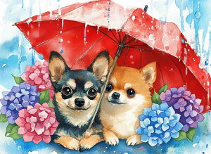 _ChA[g Lbg lpr[Y ` J̓ z  ~J ABr[Y XNGA _CAhA[g _ChyCeBO r[Y hJLbg Zbg I[r[Y  