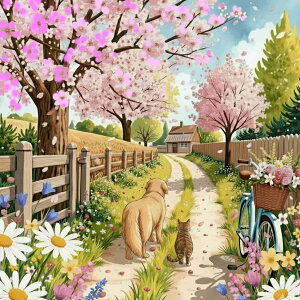 _ChA[g Lbg lpr[Y ABr[Y ̏ t  L S[fgo[ XNGAr[Y _CAhA[g _CAhyCeBO r[YhJLbg Zbg 