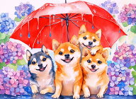 ダイヤモンドアート キット 四角ビーズ 柴犬 雨の日 紫陽花 犬 梅雨 初夏 ABビーズ スクエア ダイアモン…