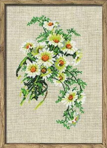 NXXeb`Lbg hJLbg Riolis J~[ u[P  IX 