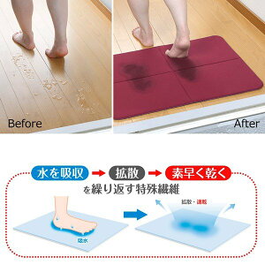 oX}bg z   ~ ӂ C { zԃoX}bg {