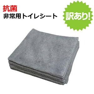 10Nۑ gCV[g60 RۏL p