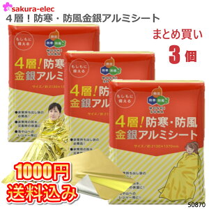 y܂Ƃߔ3̔z{EGL 4w hhA~V[g ЊQ hЃObY hЃA~V[g AEghA 1000~ 1000~|bL ylR|XEsz  ~  