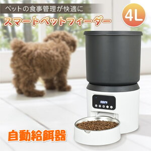 y[J[zX}[gtB[_[ a GT GT a tB[_[ ybg  GT e4L R[h dr 2WAYd {^ ȒP