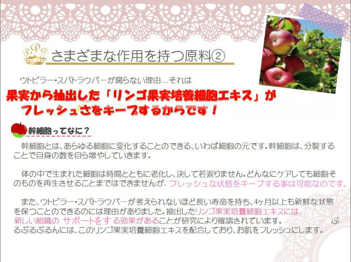 楽天市場 ぷるぷるぷるんオールインワンクリームフィトセルテック マルス ドメスティカリンゴ果実培養エキス配合 さくらさく さくらさく