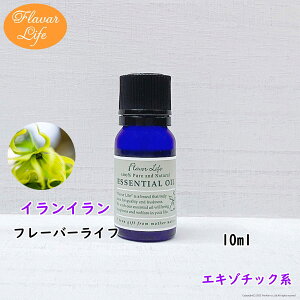 t[o[Ct  CC10ml VR e RX  A}IC  GbZVIC A}fBt[U[ A}|bg 炳