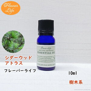 t[o[Ct  V_[EbhAgX 10ml VR e RX  A}IC  GbZVIC A}fBt[U[ A}|bg 炳