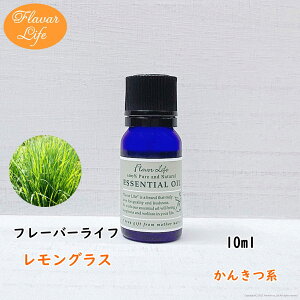 t[o[Ct  OX 10ml VR e RX  A}IC  GbZVIC A}fBt[U[ A}|bg 炳