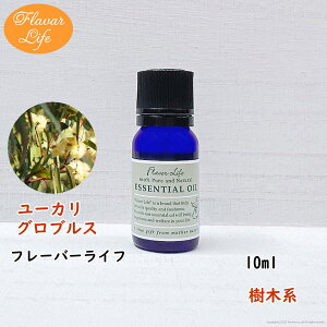t[o[Ct  [JOuX 10ml VR e RX  A}IC  GbZVIC A}fBt[U[ A}|bg 炳