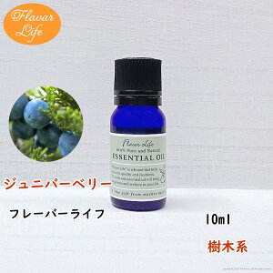 t[o[Ct  Wjp[x[10ml VR e RX  A}IC  GbZVIC A}fBt[U[ A}|bg 炳
