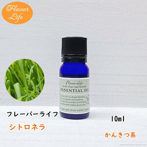 t[o[Ct  Vgl10ml VR e RX  A}IC  GbZVIC A}fBt[U[ A}|bg 炳