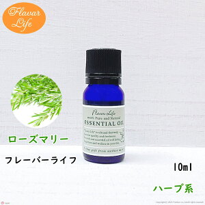 t[o[Ct  [Y}[10ml VR e RX  A}IC  GbZVIC A}fBt[U[ A}|bg 炳