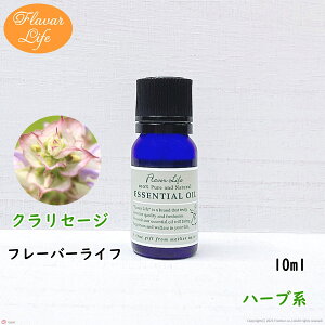 t[o[Ct  NZ[W 10ml VR e RX  A}IC  GbZVIC A}fBt[U[ A}|bg 炳
