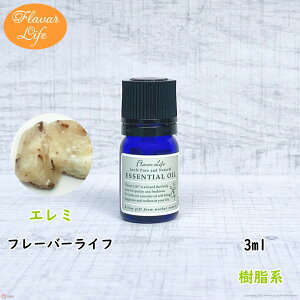 t[o[Ct  G~3ml VR e RX  A}IC  GbZVIC A}fBt[U[ A}|bg 炳