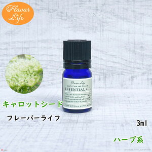 t[o[Ct  LbgV[h3ml A VR e RX  A}IC  GbZVIC A}fBt[U[ A}|bg 炳