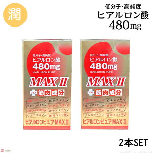 �q�A�������s���AMAX2 2��SET �o�[�W�����A�b�v �q�A�������s���A�}�b�N�X�c�[ �ᕪ�q �����x �q�A�������_ 480mg 2�^�R���[�Q�� �R���h���C�`�� �v���e�I�O���J�� �O���R�T�~�� �r�^�~��B1 B6 