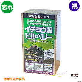 楽天市場 物忘れ サプリの通販