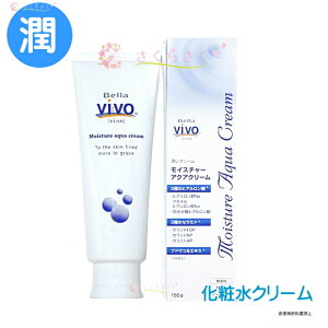 vivoCX`[ANAN[ eN[ ϐ gv qA_ gvZ~h Xxg[ 7ނ̕ێ  n  PA F  mpx@