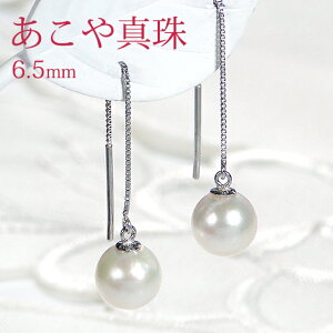 Pt900 v`iy6.5mmzARp[ OsAXyzh  p[sAX Vv  ꗱ ^  ^sAX lC v`isAX `F[sAX ЂƗ 