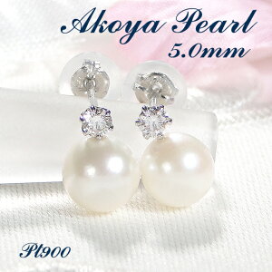 Pt900 v`i {^ _Ch X^bhsAXy5.0mmzyzp[sAX tH[} Vv  ꗱ ^ ^sAX ꗱ _C lC v`isAX 萔