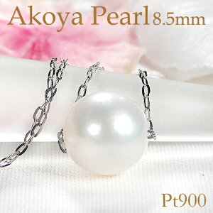 v`i {^ lbNXy8.5mmzyz^  p[ ꗱ lbNX 1 xr[p[ y_g lC v`ilbNX 萔 iۏ؏ fB[X 