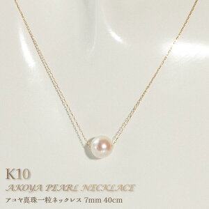 y 荏z10p[ 7~ X[y_g 40cm ^ p[ lbNX ꗱ fB[X  Vv 킢  ANZT[ lbNX JWA