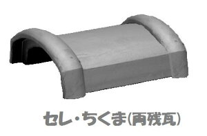 ZE V a  ZV[Y   DIY p̊