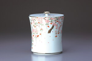 y[J[񂹕iz 5 6 7 Lcāu(悢)v 퐻 p { Vpi {i [p   茳{ ybgp@yj1