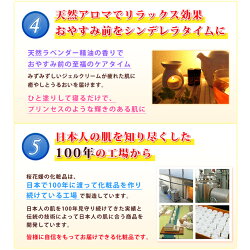 【新発売】プリンセスナイトリペア塗って寝るだけ睡眠中に浸透リペア保湿ハリツヤ洗い流さない保湿パック毎日スペシャルケアスリーピングパック時短スキンケア忙しくがんばる女性に