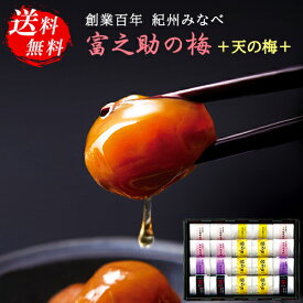 ＋天の梅＋ 梅干し 甘味梅干し 個包装 6種20袋 ギフト セット 55 / 紀州 南高梅 詰め合わせ 送料無料 | 結婚内祝い 出産内祝い 快気祝い 入学内祝い 入学 内祝い お返し お礼の品 父の日 誕生日プレゼント 一周忌 法事 お供え物 お供え 香典返し