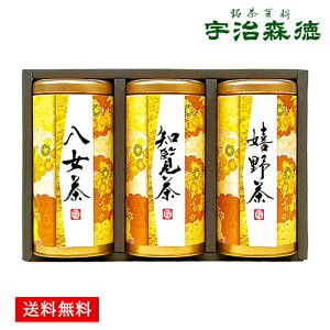 { Mtg Zbg FX Yn̖ lߍ킹 40 /    m 쒃  | ܎O j oYj Cj j Ԃ ̕i av[g 