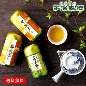 { Mtg Zbg FX Yn̖ lߍ킹 100 /    ؔ É FʘI F  | Ε Ε ܎O j oYj Cj j Ԃ 