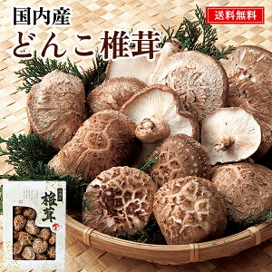 Y ǂ񂱒ő Mtg 20 /  ő  Zbg  | Ε Ε ܎O j oYj Cj j Ԃ ̕i av[g  @ 