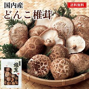 Y ǂ񂱒ő Mtg 25 /  ő  Zbg  | Ε Ε N N j oYj Cj j Ԃ ̕i av[g 