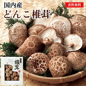 Y ǂ񂱒ő Mtg 30 /  ő  Zbg  | j oYj Cj j Ԃ ̕i av[g  @   T