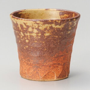 {q ʍ ĒJbv 9.5x8.5cm 250cc y@{ Ē bN r[ ~  Î aJNefU[gJbv W[X  hNJbvƂĂ