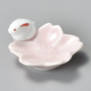 炤 u4.5x4x2cm@{@Xv[Xg ɂ