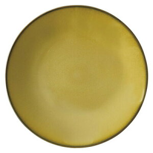 OJ^ 24cm Gr` & ~[gM{ ZċɌ̃Vv @ׂvZꂽ` \HmH  aH JtF