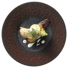 プレノ+GINKA 27cm ディナー皿 日本製 幅広リムの無駄のない形状と大胆な釉薬の融合