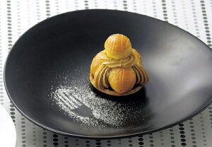 K[g 23cm J[& pX^ [M X[vv[g@22.7x21.6x5.8cm@{