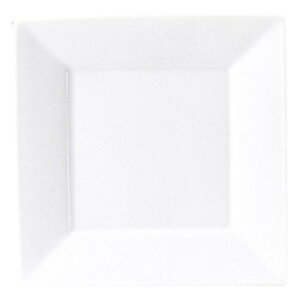 15cm SQUARE  M 15.2x1.9cm {ЂĂVvȎlpXNGAv[g