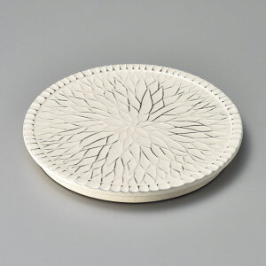  eԒ 25cm M 25x2.5cm {̈i