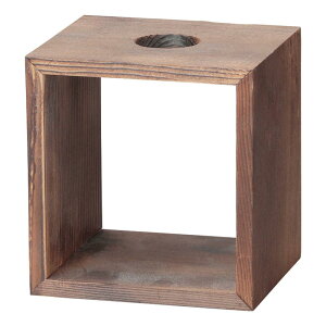 miniT[o[p ^ؑ 14.7x14.7x10.8cm