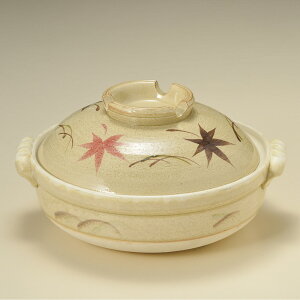 ݌Ï gt 6 y@21.5x19x11cm 800cc@ X lpy@{