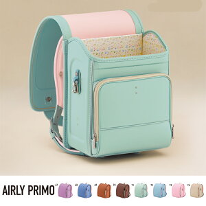 �_�l�[���^�O����Present��^ 2027�N���f�� �����h�Z�� �G�A���[�v���� AIRLY PRIMO AP202 �������s ������ ���{�� �������� �j���[�V���[�v NEW SHAPE �l�H��v