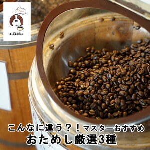 yr[4.8ȏz R[q[ Zbg 3 蓤    300g   IWi uh \tg uh L}W ACX ACXR[q[  hV̓ Mtg 