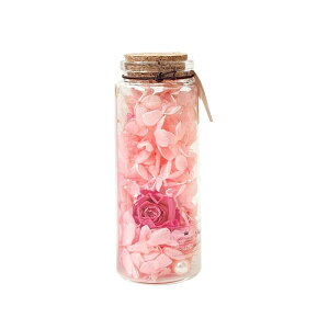 y1聚2_P10{A3_P20{zvU[uht[ a  ~j p[ o ސEj  ybg  L  j o    P[X  ͂