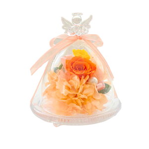 vU[uht[ a  Vg j GWFh[ h[  o ސEj  ybg  L  o Ԃo ~j    P[X  j j